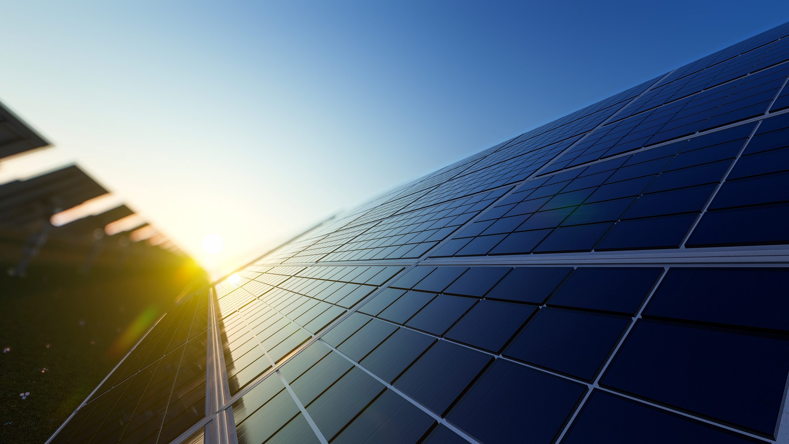 Closeup of Solar Panels in a Row on a Sunny Day