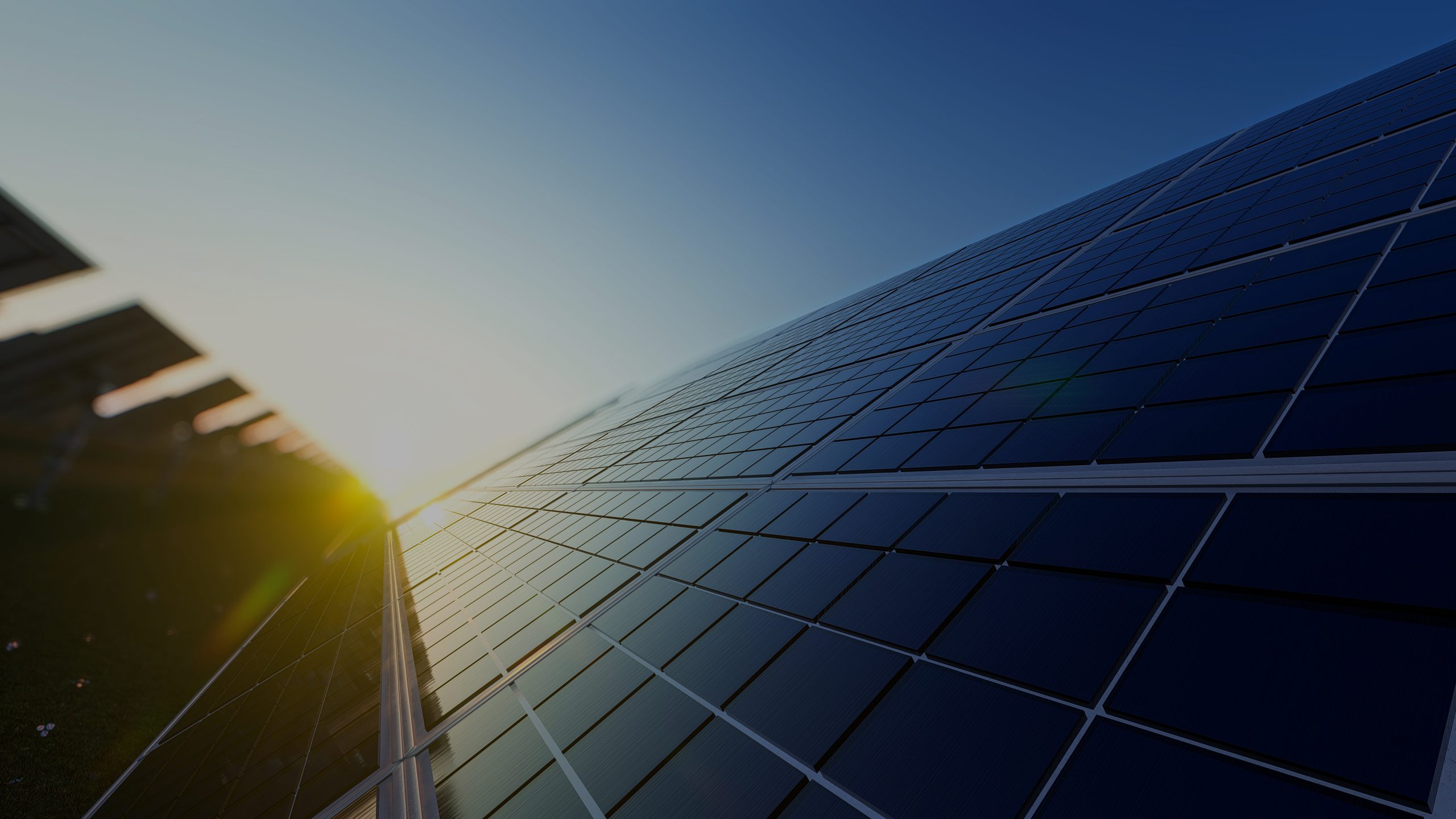 Closeup of Solar Panels in a Row on a Sunny Day